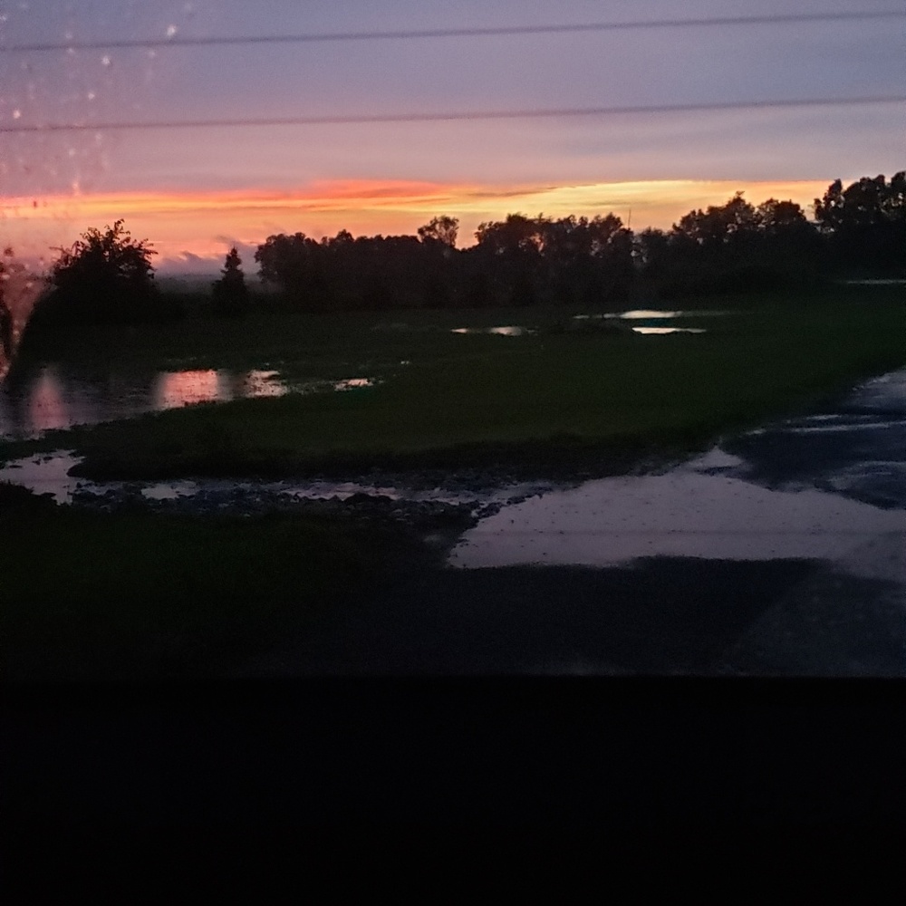 Meet your Posher, Reagan